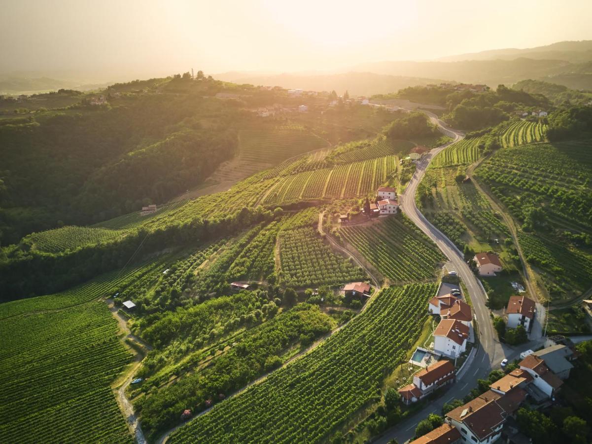 KojskoPeterc Vineyard Estate住宿加早餐旅馆 外观 照片