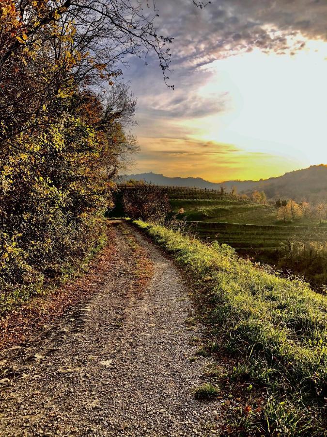 KojskoPeterc Vineyard Estate住宿加早餐旅馆 外观 照片