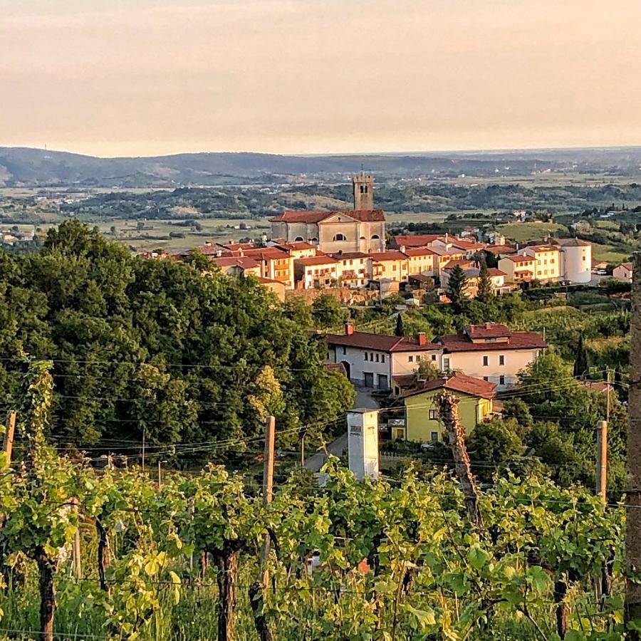 KojskoPeterc Vineyard Estate住宿加早餐旅馆 外观 照片