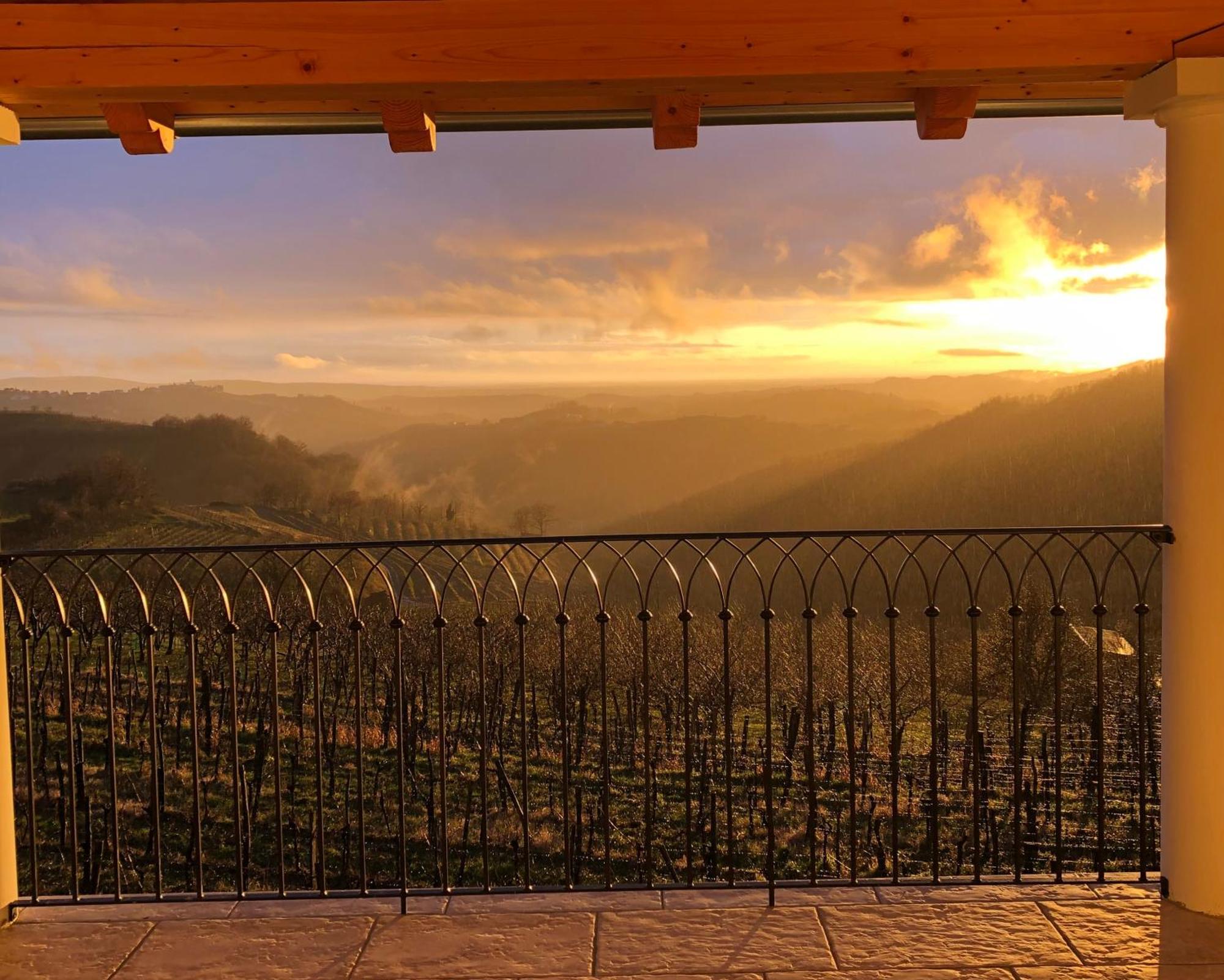 KojskoPeterc Vineyard Estate住宿加早餐旅馆 外观 照片