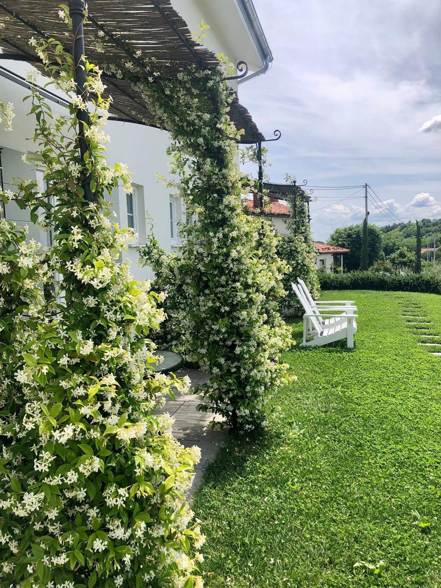 KojskoPeterc Vineyard Estate住宿加早餐旅馆 外观 照片